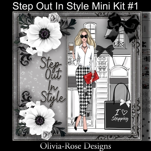 Step Out In Style Mini Kit #1    NO FLOWERS, TEXT OR BOW**