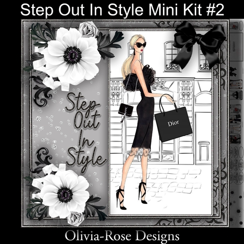 Step Out In Style Mini Kit #2    NO FLOWERS, TEXT OR BOW OR BOW**