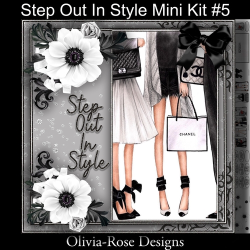 Step Out In Style Mini Kit #5    NO FLOWERS, TEXT OR BOW**