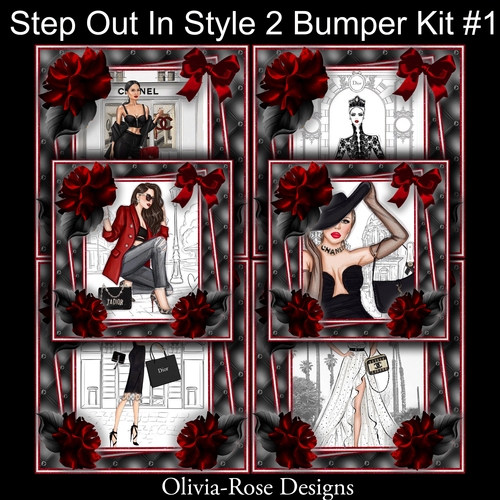 Step Out In Style 2 Bumper Kit #1    