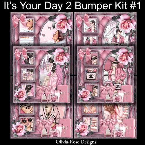 Its Your Day 2 Bumper Kit#1     