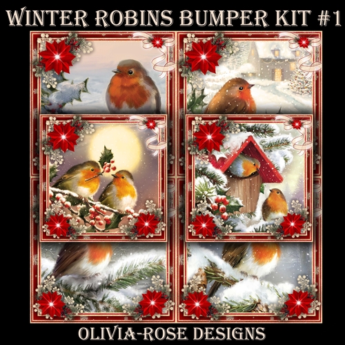 Winter Robins Bumper Kit #1   
