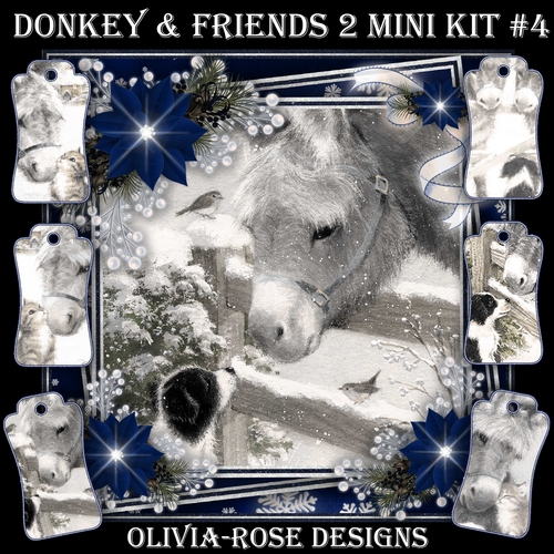 Donkey & Friends 2  Mini Kit #4  