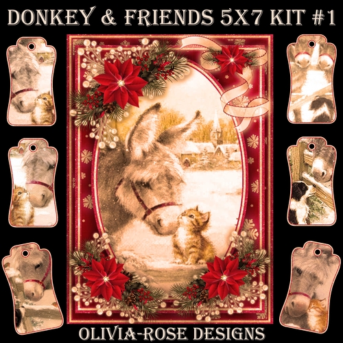 Donkey & Friends 5X7 Mini Kit #1 1  