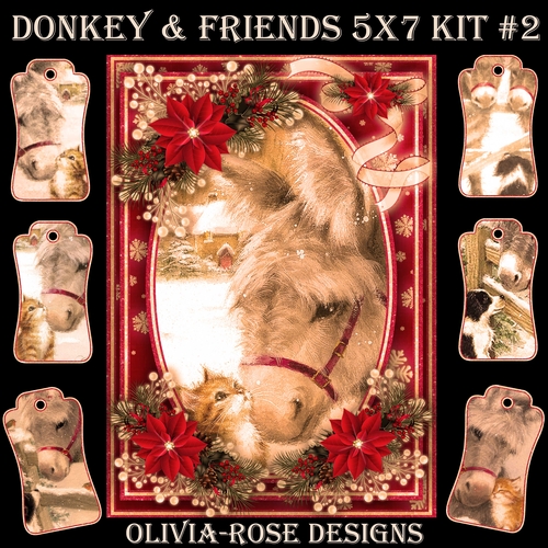 Donkey & Friends 5X7 Mini Kit #2 1  