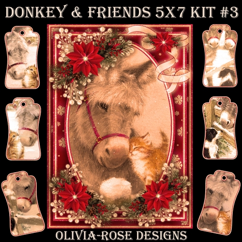 Donkey & Friends 5X7 Mini Kit #3 1  