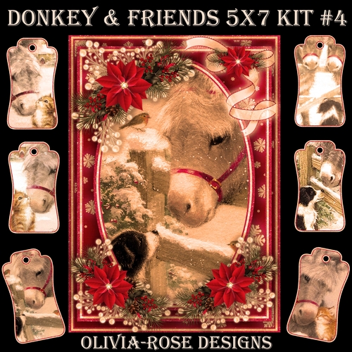Donkey & Friends 5X7 Mini Kit #4 1  