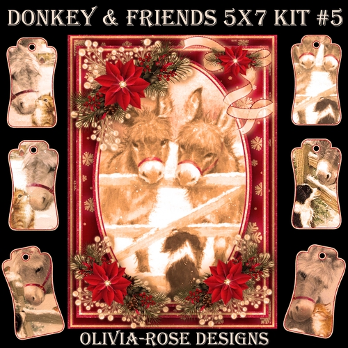 Donkey & Friends 5X7 Mini Kit #5 1  