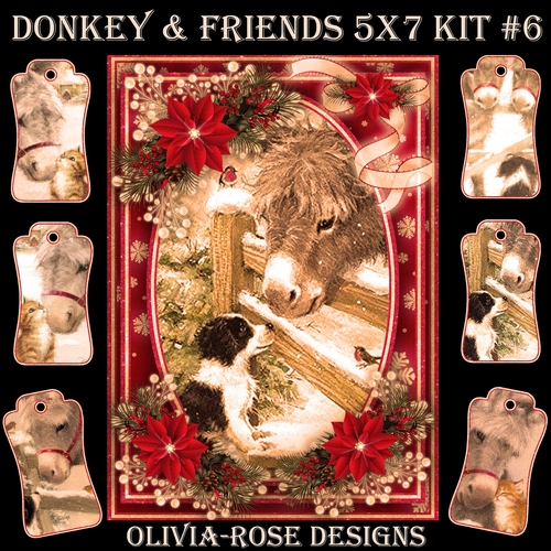 Donkey & Friends 5X7 Mini Kit #6 1  