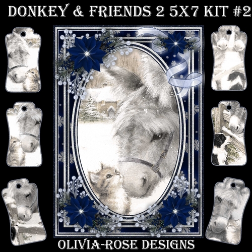 Donkey & Friends 2 5X7 Mini Kit #2 1  