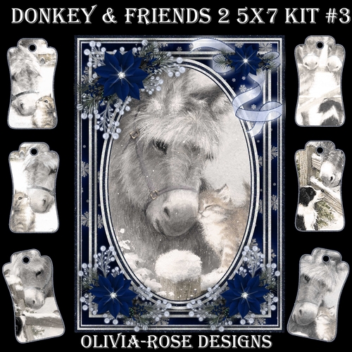 Donkey & Friends 2 5X7 Mini Kit #3 1  