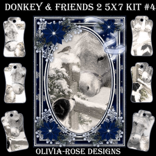 Donkey & Friends 2 5X7 Mini Kit #4 1  