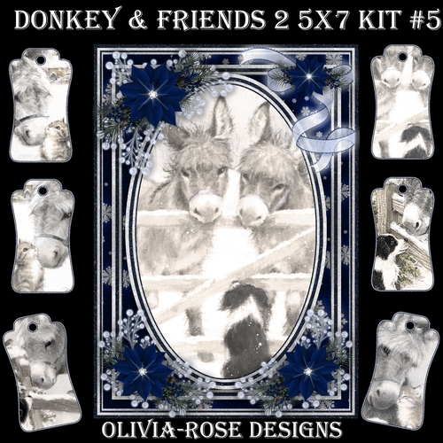 Donkey & Friends 2 5X7 Mini Kit #5 1  