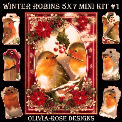 Winter Robins 5X7  Mini Kit #1