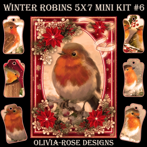 Winter Robins 5X7  Mini Kit #6