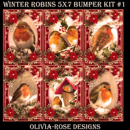 Winter Robins 5X7 Bumper Kit #1 1  
