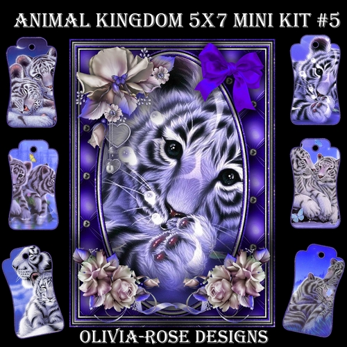 Animal Kingdom 5X7  Mini Kit #5