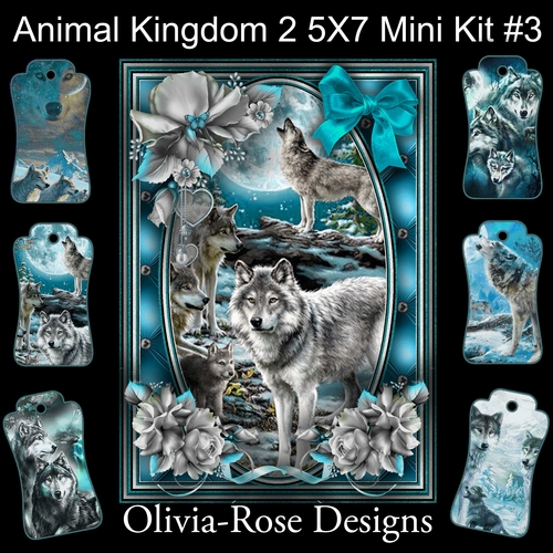 Animal Kingdom 2 5X7 Mini Kit #3