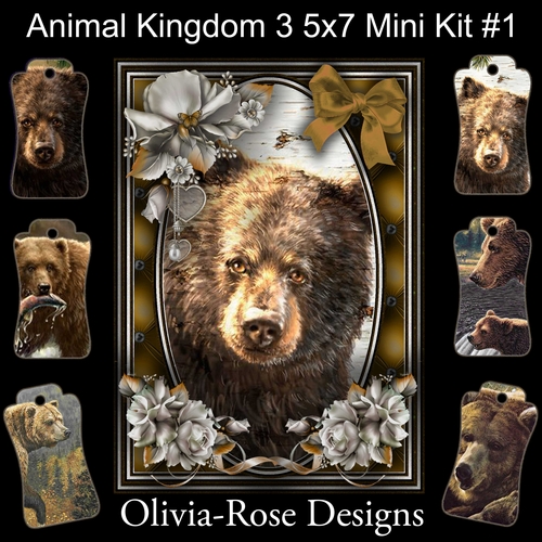 Animal Kingdom 3 5X7 Mini Kit #1