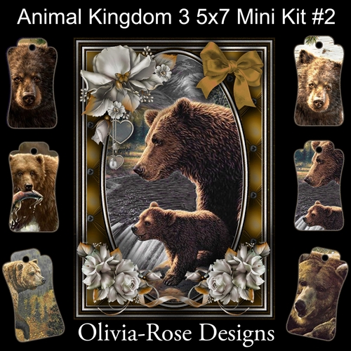 Animal Kingdom 3 5X7 Mini Kit #2