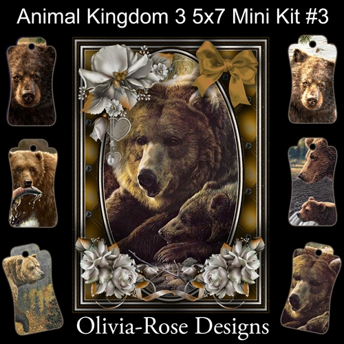 Animal Kingdom 3 5X7 Mini Kit #3