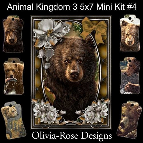 Animal Kingdom 3 5X7 Mini Kit #4