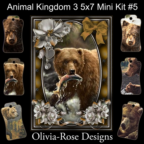 Animal Kingdom 3 5X7 Mini Kit #5