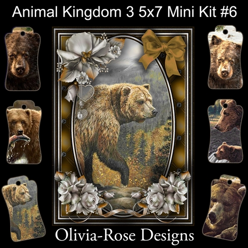 Animal Kingdom 3 5X7 Mini Kit #6