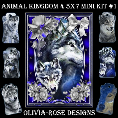 Animal Kingdom 4 5X7 Mini Kit #1