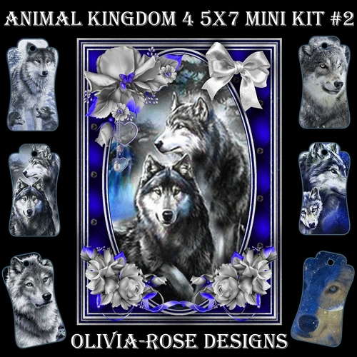 Animal Kingdom 4 5X7 Mini Kit #2