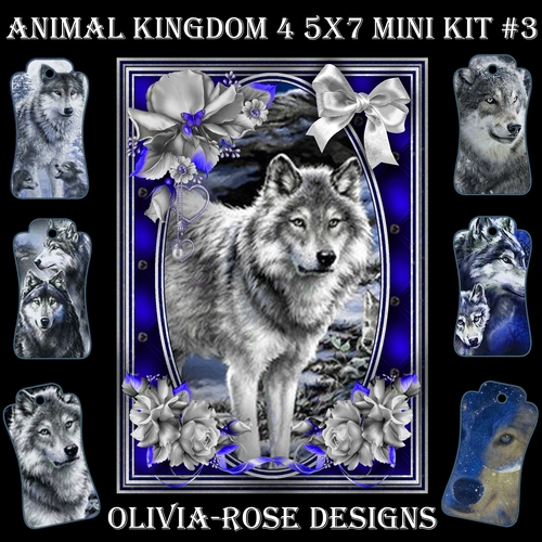 Animal Kingdom 4 5X7 Mini Kit #3