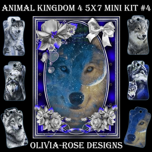 Animal Kingdom 4 5X7 Mini Kit #4