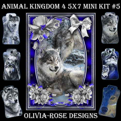 Animal Kingdom 4 5X7 Mini Kit #5