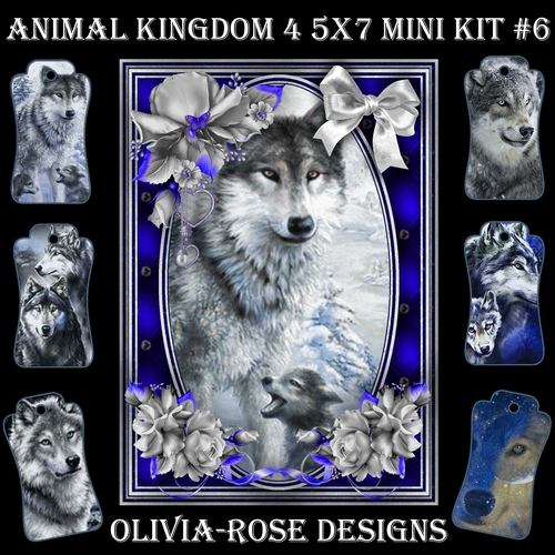 Animal Kingdom 4 5X7 Mini Kit #6