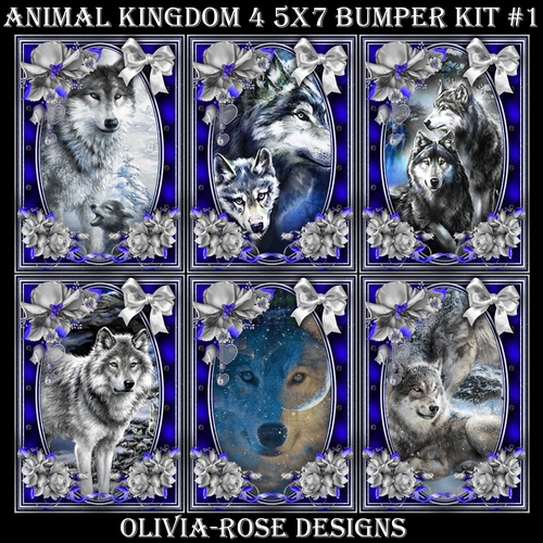 Animal Kingdom 4 5X7  Bumper Kit #1