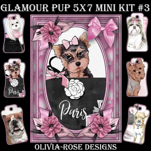 Glamour Pup   5X7 Mini Kit #3 1  