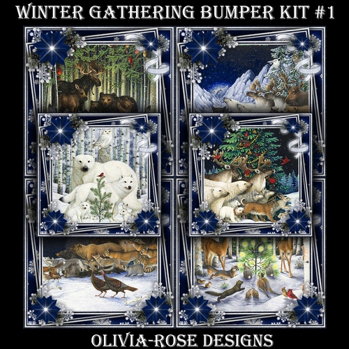 Winter Gathering Bumper Kit #1  