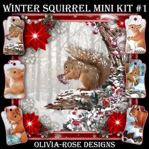 Winter Squirrel Mini Kit #1  