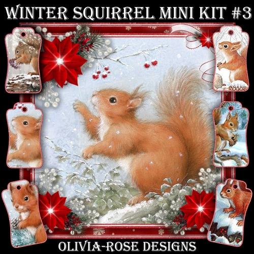 Winter Squirrel Mini Kit #3  