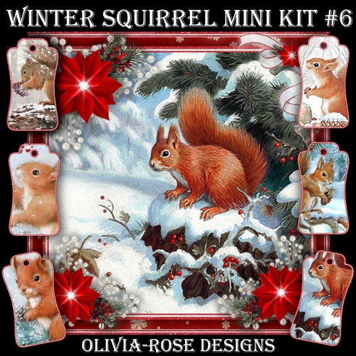 Winter Squirrel Mini Kit #6  