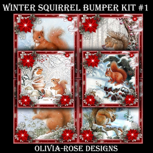 Winter Squirrel Bumper Kit #1  