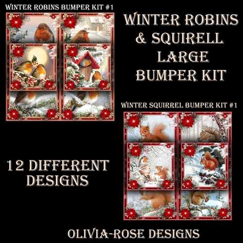 Winter Robins & Squirrel Large Bumper Kit #1  