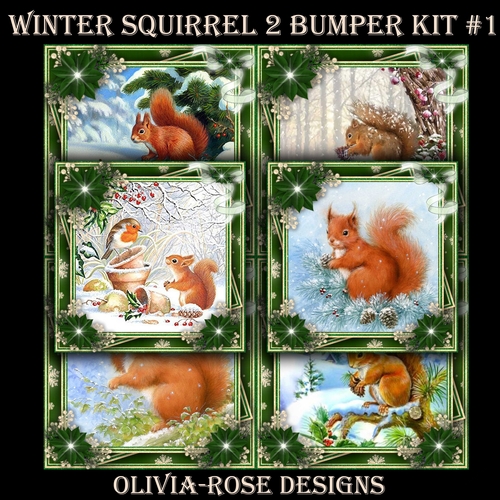 Winter Squirrel 2 Bumper Kit #1  