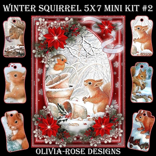 Winter Squirrel 5X7 Mini Kit #2 