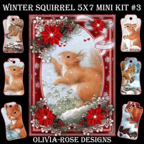 Winter Squirrel 5X7 Mini Kit #3 