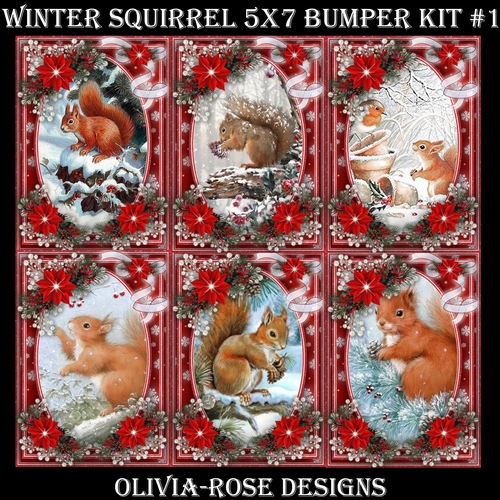 Winter Squirrel 5X7 Bumper Kit #1  