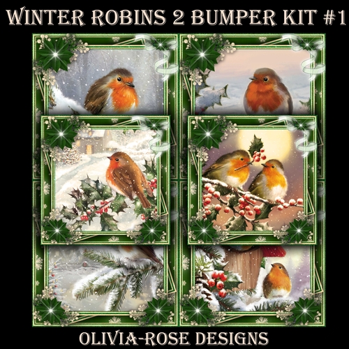 Winter Robins 2 Bumper Kit #1  