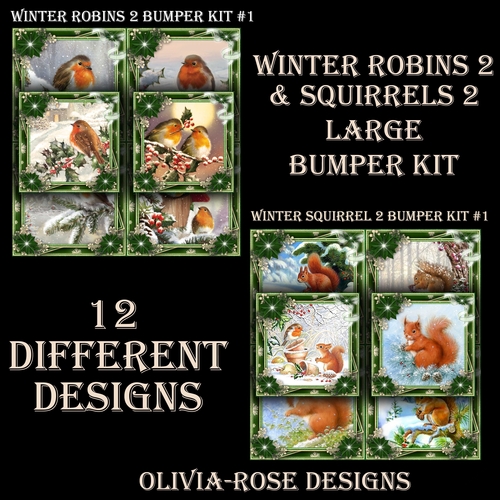 Winter Robins & Squirrels 2 Large Bumper Kit #1  