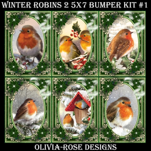 Winter Robins 2 5X7 Bumper Kit #1  