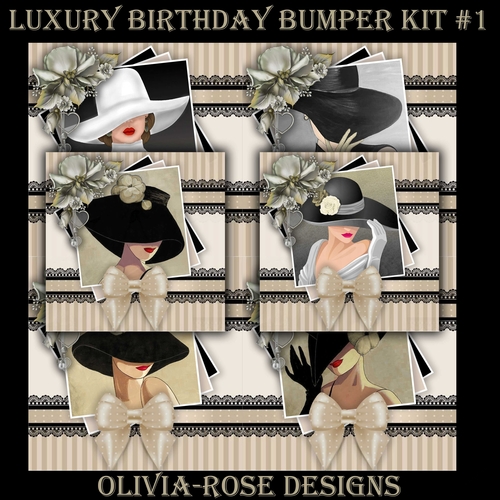 Luxury Birthday Bumper Kit #1   
